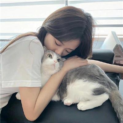 槑头槑脑3